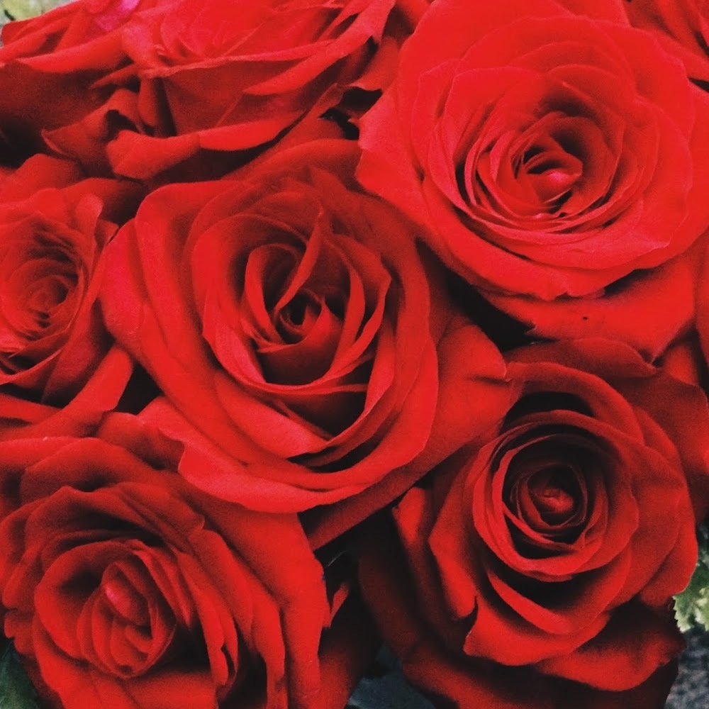 Meet your Posher, Brianne